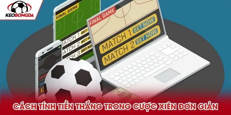 Cách tính tiền thắng trong cược xiên đơn giản