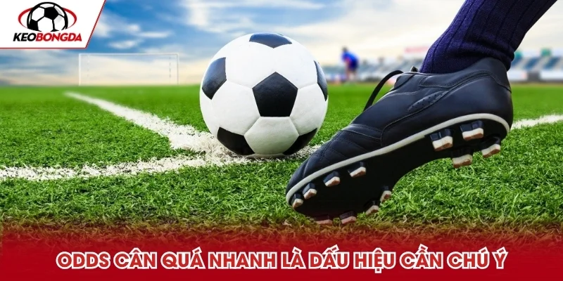 Odds cân quá nhanh là dấu hiệu cần chú ý